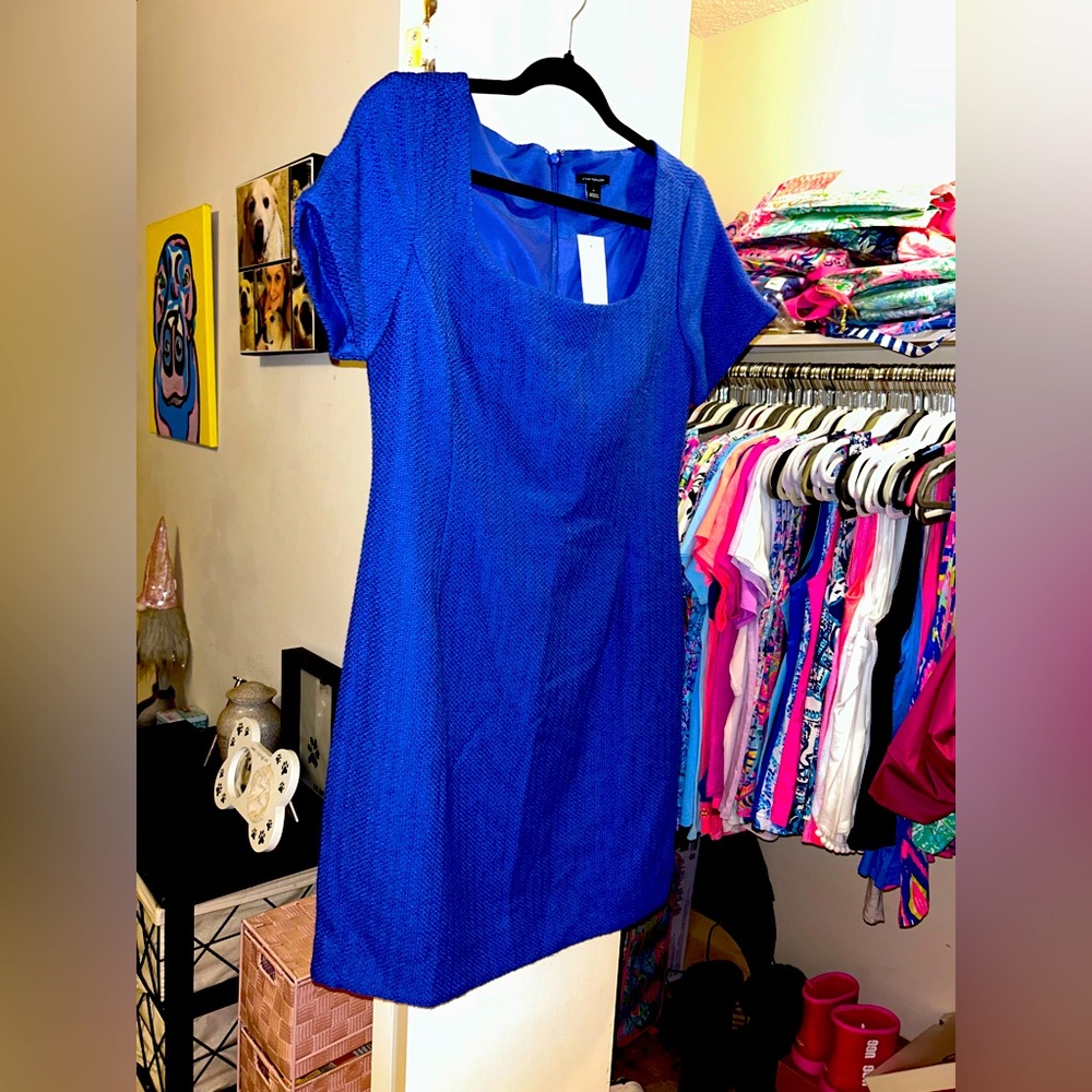 💙♦️NWT Ann Taylor Blue Dress💙